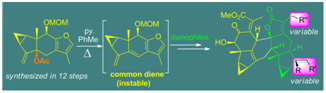 http://chem.scu.edu.cn/files/3(49).png