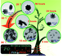 Thumbnail image of graphical abstract