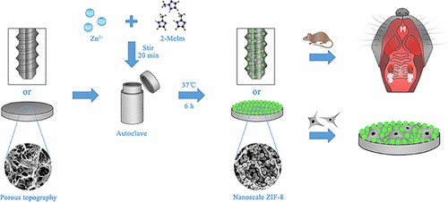 http://chem.scu.edu.cn/files/5(22).jpg