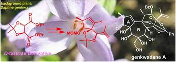 http://chem.scu.edu.cn/files/9(13).jpg