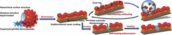 Link to full-size graphical abstract