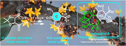http://chem.scu.edu.cn/files/8(12).png