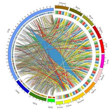 http://chem.scu.edu.cn/files/%E6%9D%8E%E7%9B%8A%E6%B4%B2%20%E5%9B%BE2(1).jpg