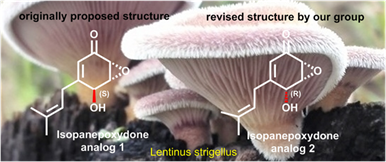 http://chem.scu.edu.cn/files/7(7).png