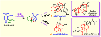 http://chem.scu.edu.cn/files/6(13).png
