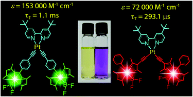 Graphical abstract: Red-light-absorbing diimine Pt(ii) bisacetylide complexes showing near-IR phosphorescence and long-lived 3IL excited state of Bodipy for application in triplet–triplet annihilation upconversion